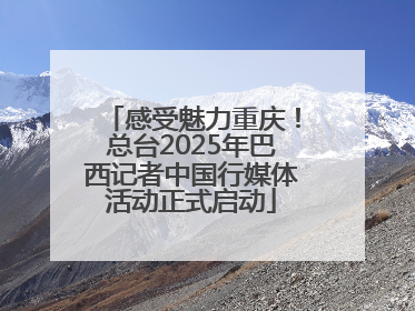 感受魅力重庆！总台2025年巴西记者中国行媒体活动正式启动