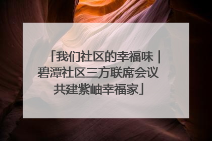 我们社区的幸福味｜碧潭社区三方联席会议共建紫岫幸福家