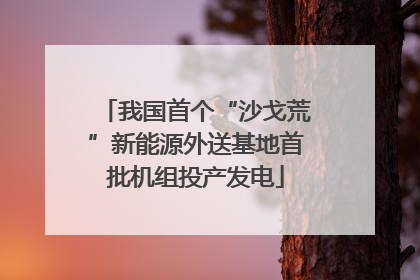 我国首个“沙戈荒”新能源外送基地首批机组投产发电