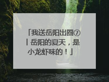我送岳阳出圈⑦丨岳阳的夏天，是小龙虾味的！