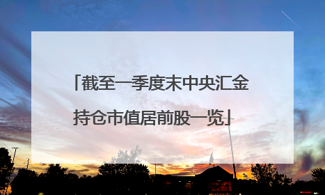 截至一季度末中央汇金持仓市值居前股一览