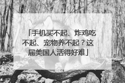 手机买不起、炸鸡吃不起、宠物养不起？这届美国人活得好难