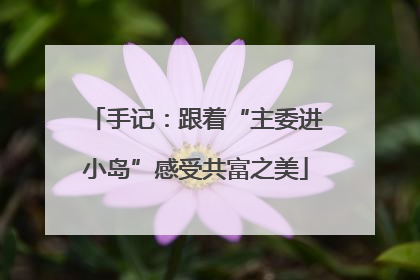手记：跟着“主委进小岛”感受共富之美