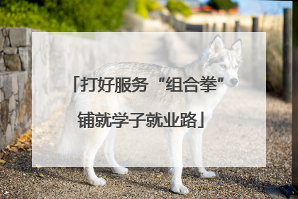 打好服务“组合拳” 铺就学子就业路