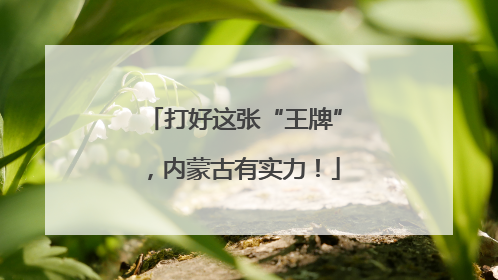 打好这张“王牌”，内蒙古有实力！