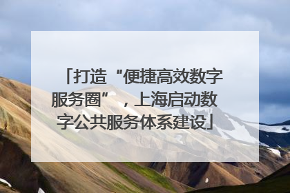 打造“便捷高效数字服务圈”，上海启动数字公共服务体系建设
