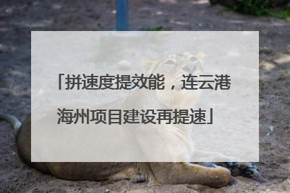拼速度提效能，连云港海州项目建设再提速