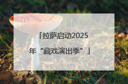 拉萨启动2025年“藏戏演出季”