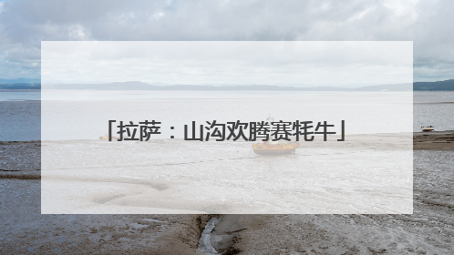 拉萨：山沟欢腾赛牦牛