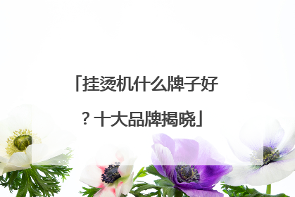 挂烫机什么牌子好？十大品牌揭晓