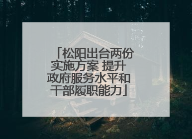 松阳出台两份实施方案 提升政府服务水平和干部履职能力