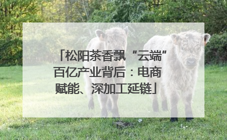 松阳茶香飘“云端” 百亿产业背后：电商赋能、深加工延链