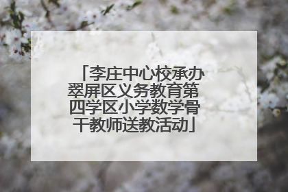 李庄中心校承办翠屏区义务教育第四学区小学数学骨干教师送教活动