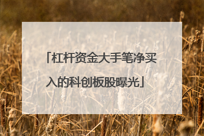 杠杆资金大手笔净买入的科创板股曝光