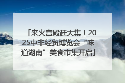 来火宫殿赶大集！2025中非经贸博览会“味道湖南”美食市集开启