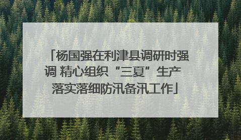 杨国强在利津县调研时强调 精心组织“三夏”生产 落实落细防汛备汛工作