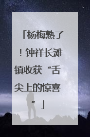 杨梅熟了！钟祥长滩镇收获“舌尖上的惊喜”