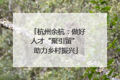 杭州余杭：做好人才“聚引留” 助力乡村振兴