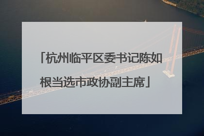 杭州临平区委书记陈如根当选市政协副主席