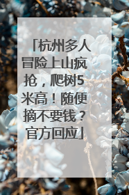杭州多人冒险上山疯抢，爬树5米高！随便摘不要钱？官方回应