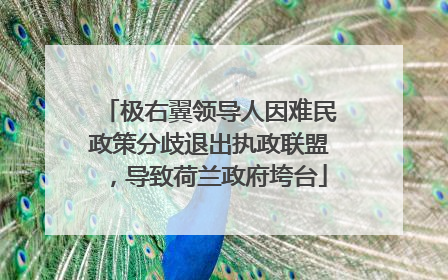 极右翼领导人因难民政策分歧退出执政联盟，导致荷兰政府垮台