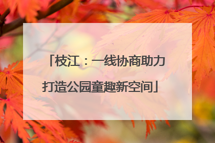 枝江：一线协商助力打造公园童趣新空间