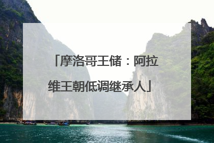 摩洛哥王储：阿拉维王朝低调继承人