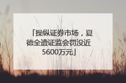 操纵证券市场，夏德全遭证监会罚没近5600万元