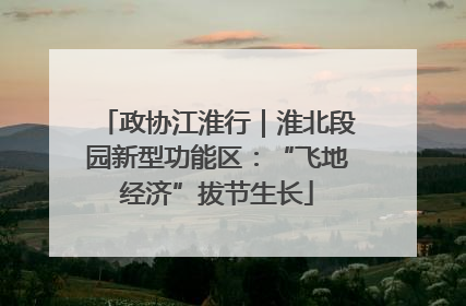 政协江淮行｜淮北段园新型功能区：“飞地经济”拔节生长