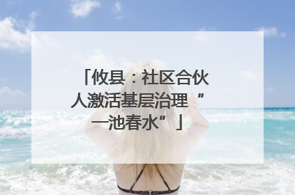 攸县：社区合伙人激活基层治理“一池春水”