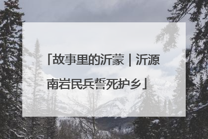 故事里的沂蒙｜沂源南岩民兵誓死护乡