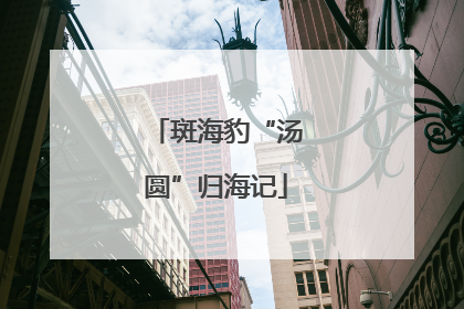 斑海豹“汤圆”归海记