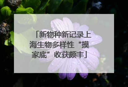 新物种新记录上海生物多样性“摸家底”收获颇丰