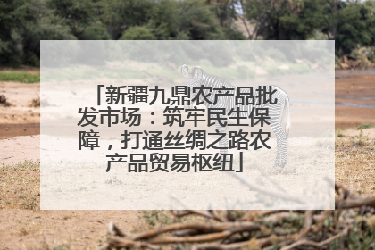 新疆九鼎农产品批发市场：筑牢民生保障，打通丝绸之路农产品贸易枢纽