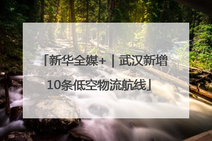 新华全媒+｜武汉新增10条低空物流航线