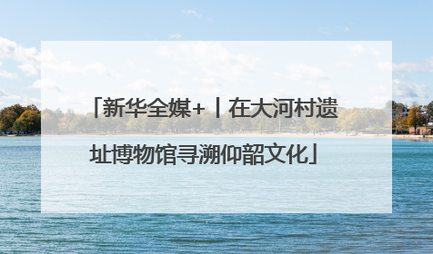 新华全媒+丨在大河村遗址博物馆寻溯仰韶文化