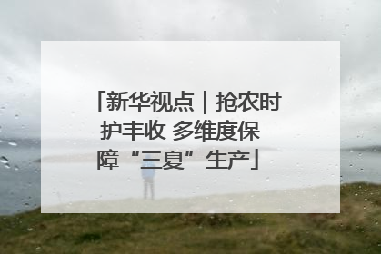 新华视点｜抢农时 护丰收 多维度保障“三夏”生产