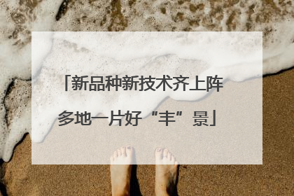 新品种新技术齐上阵 多地一片好“丰”景