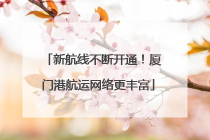 新航线不断开通！厦门港航运网络更丰富