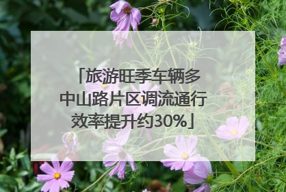 旅游旺季车辆多 中山路片区调流通行效率提升约30%