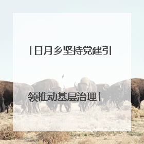 日月乡坚持党建引领推动基层治理