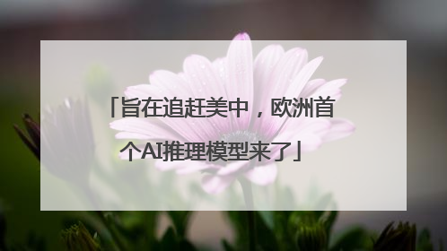 旨在追赶美中，欧洲首个AI推理模型来了
