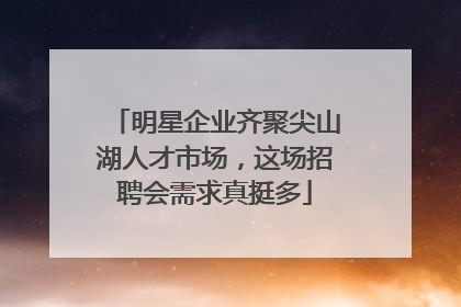 明星企业齐聚尖山湖人才市场，这场招聘会需求真挺多