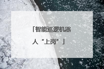 智能巡逻机器人“上岗”
