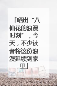 晒出“八仙花的浪漫时刻”，今天，不少读者将这份浪漫延续到家里