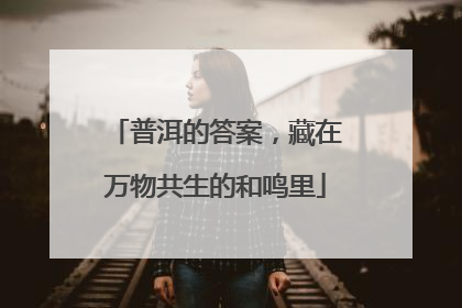 普洱的答案，藏在万物共生的和鸣里
