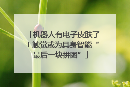机器人有电子皮肤了！触觉或为具身智能“最后一块拼图”