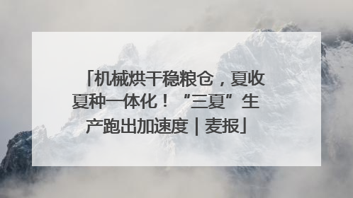 机械烘干稳粮仓，夏收夏种一体化！“三夏”生产跑出加速度｜麦报