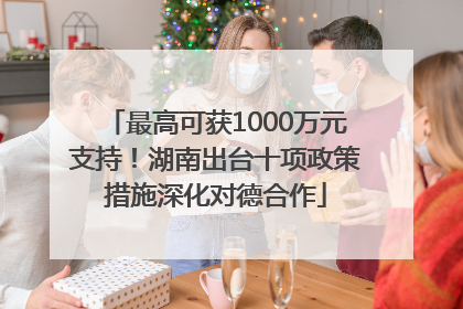 最高可获1000万元支持！湖南出台十项政策措施深化对德合作