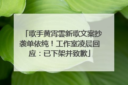 歌手黄霄雲新歌文案抄袭单依纯！工作室凌晨回应：已下架并致歉